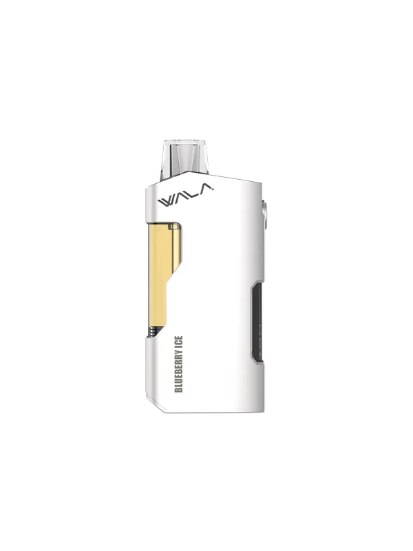 Rechargeable vs Non-Rechargeable Vapes | Vaperoo